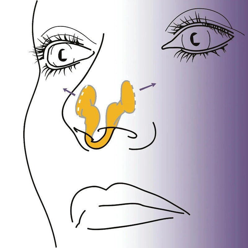 anti ronflement nez dessin emplacement dans le nez